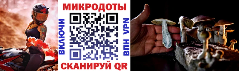 Галлюциногенные грибы Magic Shrooms  продажа наркотиков  Волчанск 